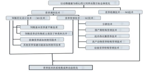 構(gòu)建動(dòng)物健康營養(yǎng)體系 學(xué)科戰(zhàn)略突破與應(yīng)用新篇章