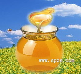 蜂膠的神奇功效 探索這款天然保健食品的奧秘